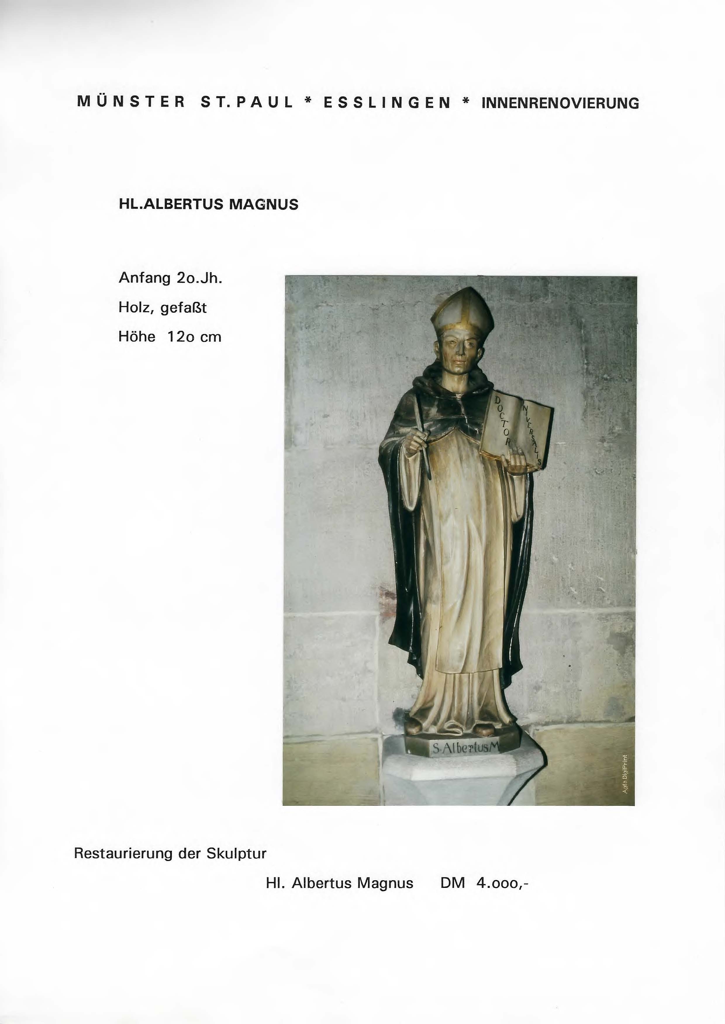 Albertus Magnus